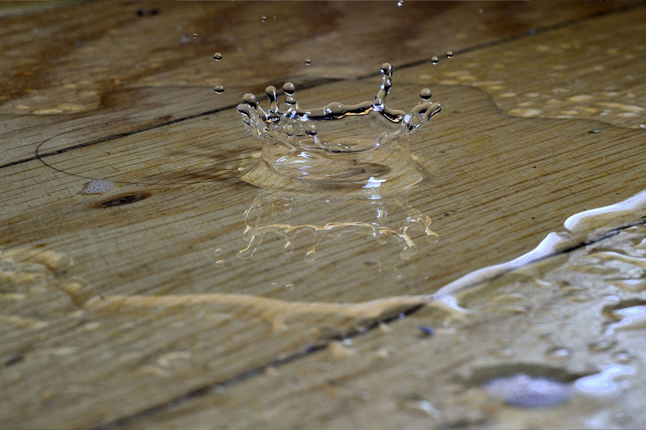 Short-term rental leak detection sensors